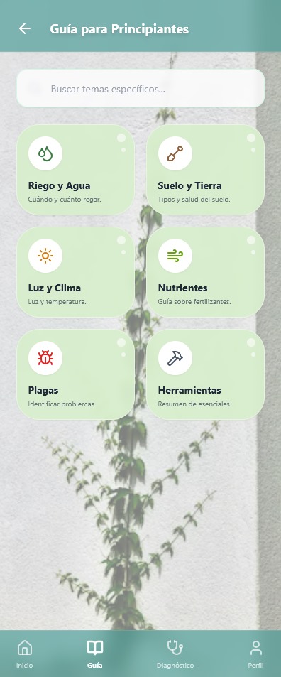 Guías para principiantes